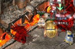 金币传奇哪些地图掉舒筋活络丹多