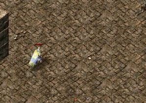 英雄合击传奇秘境领主击杀后能拿到什么奖励