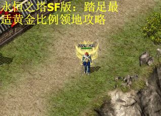 永恒之塔SF版：踏足最适黄金比例领地攻略