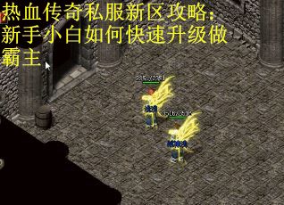 热血传奇私服新区攻略：新手小白如何快速升级做霸主