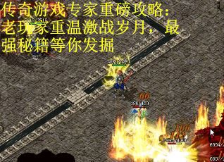 传奇游戏专家重磅攻略：老玩家重温激战岁月，最强秘籍等你发掘