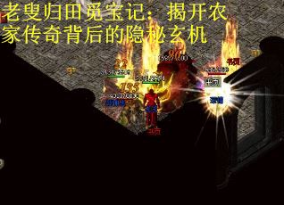 老叟归田觅宝记：揭开农家传奇背后的隐秘玄机