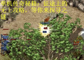 单机传奇秘籍：征途上的无上攻略，等你来探寻之谜