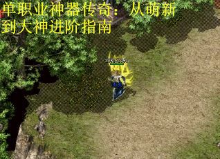 单职业神器传奇：从萌新到大神进阶指南