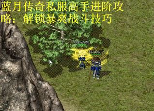 蓝月传奇私服高手进阶攻略：解锁暴爽战斗技巧