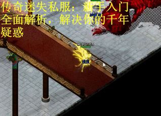 传奇迷失私服：新手入门全面解析，解决你的千年疑惑