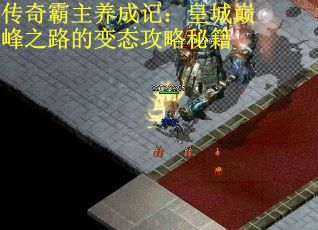 传奇霸主养成记：皇城巅峰之路的变态攻略秘籍