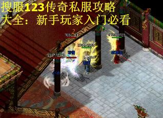 搜服123传奇私服攻略大全：新手玩家入门必看