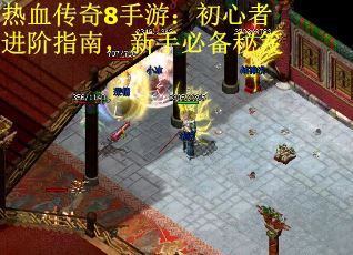 热血传奇8手游：初心者进阶指南，新手必备秘笈