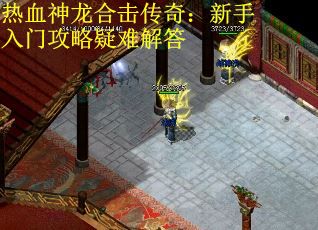 热血神龙合击传奇：新手入门攻略疑难解答