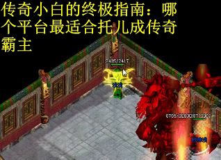 传奇小白的终极指南：哪个平台最适合托儿成传奇霸主