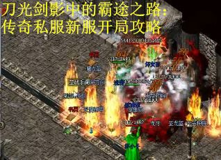 刀光剑影中的霸途之路：传奇私服新服开局攻略