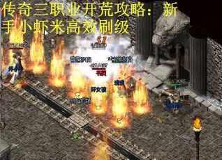 传奇三职业开荒攻略：新手小虾米高效刷级