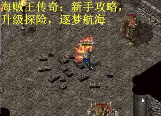 海贼王传奇：新手攻略，升级探险，逐梦航海