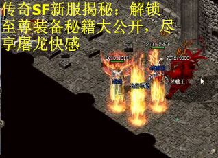 传奇SF新服揭秘：解锁至尊装备秘籍大公开，尽享屠龙快感