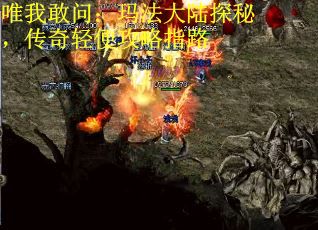 唯我敢问：玛法大陆探秘，传奇轻便攻略指路