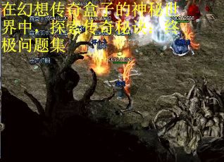 在幻想传奇盒子的神秘世界中，探索传奇秘诀：终极问题集