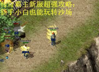 传奇霸主新服超强攻略：新手小白也能玩转沙场