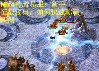Mir4传奇私服：新手征战宝典，如何快速称霸江湖