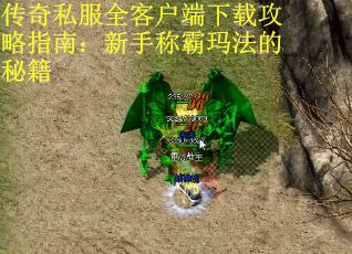 传奇私服全客户端下载攻略指南：新手称霸玛法的秘籍