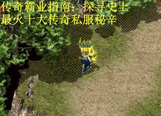 传奇霸业指南：探寻史上最火十大传奇私服秘辛