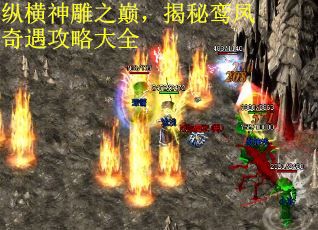 纵横神雕之巅，揭秘鸾凤奇遇攻略大全