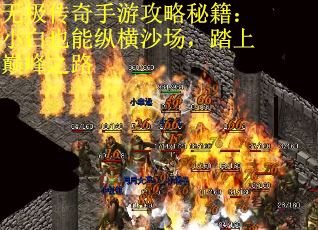 无极传奇手游攻略秘籍：小白也能纵横沙场，踏上巅峰之路