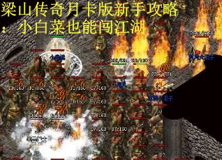 梁山传奇月卡版新手攻略：小白菜也能闯江湖