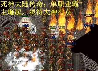 死神大陆传奇：单职业霸主崛起，亟待大神指点