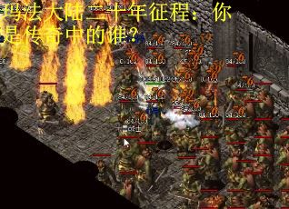 玛法大陆二十年征程：你是传奇中的谁？