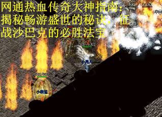 网通热血传奇大神指南：揭秘畅游盛世的秘诀，征战沙巴克的必胜法宝