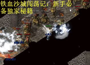 铁血沙城闯荡记：新手必备独家秘籍