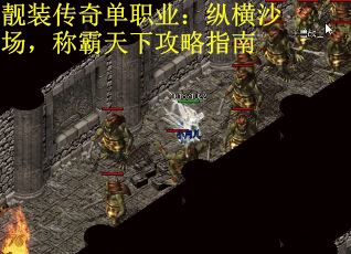 靓装传奇单职业：纵横沙场，称霸天下攻略指南