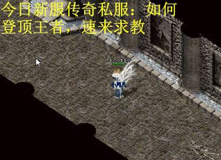 今日新服传奇私服：如何登顶王者，速来求教