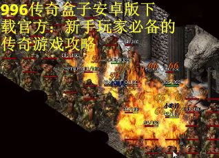 996传奇盒子安卓版下载官方：新手玩家必备的传奇游戏攻略