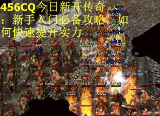456CQ今日新开传奇：新手入门必备攻略，如何快速提升实力
