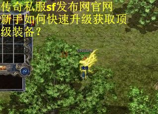 传奇私服sf发布网官网新手如何快速升级获取顶级装备？