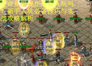 传奇私服现在还有人玩吗？新手入坑必备技巧与实战攻略解析