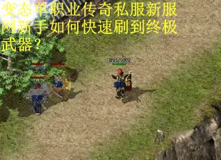 变态单职业传奇私服新服网新手如何快速刷到终极武器？