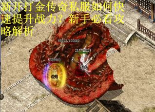 新开打金传奇私服如何快速提升战力？新手必看攻略解析