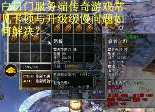 白日门服务端传奇游戏常见卡顿与升级缓慢问题如何解决？