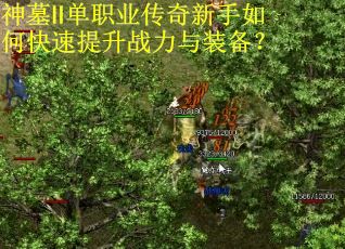神墓Ⅱ单职业传奇新手如何快速提升战力与装备？