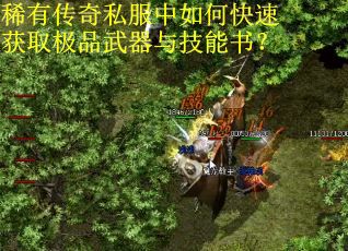 稀有传奇私服中如何快速获取极品武器与技能书？