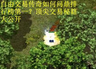 自由交易传奇如何问鼎排行榜第一？顶尖交易秘籍大公开