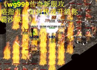 《wg999传奇新服攻略指引：如何快速升级称霸沙城？》