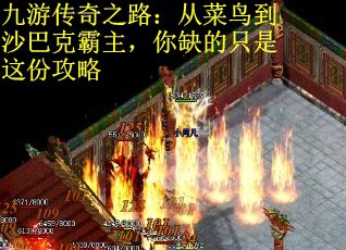 九游传奇之路：从菜鸟到沙巴克霸主，你缺的只是这份攻略