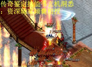 传奇鉴定技能书玄机洞悉：资深玩家倾囊相授