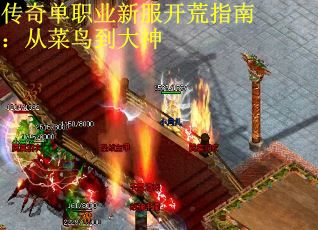 传奇单职业新服开荒指南：从菜鸟到大神