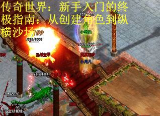 传奇世界：新手入门的终极指南：从创建角色到纵横沙场