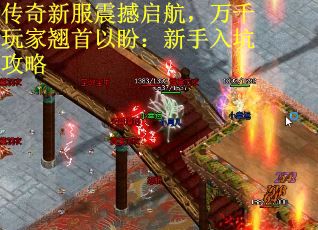 传奇新服震撼启航，万千玩家翘首以盼：新手入坑攻略